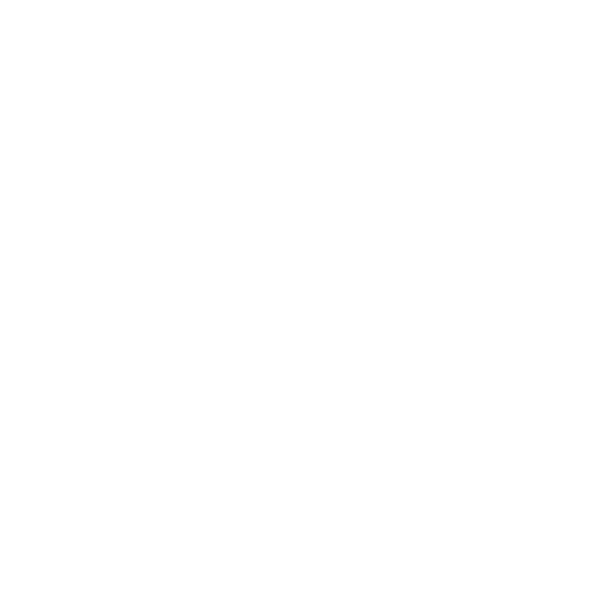 de Interventie
